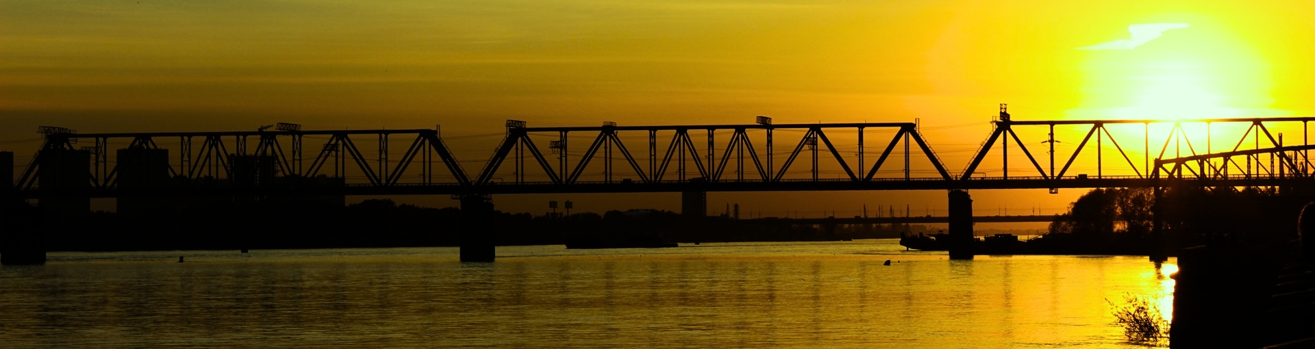 REIDI para Empresas: o que é, benefícios e como aproveitar