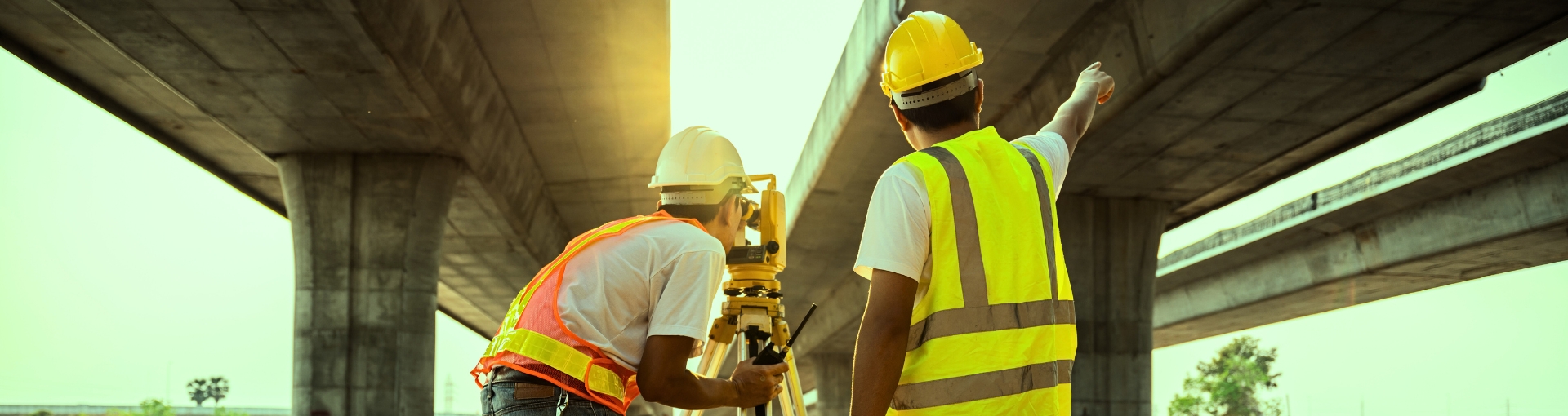 REIDI para Empresas: o que é, benefícios e como aproveitar