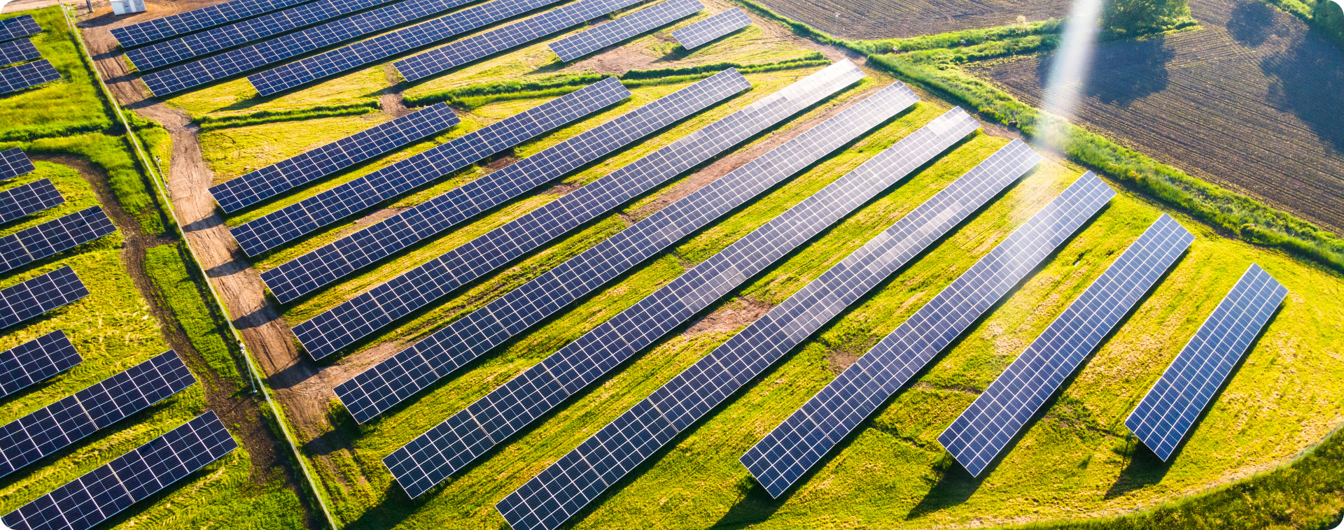 Centros de custo: como estruturar seu negócio por dentro