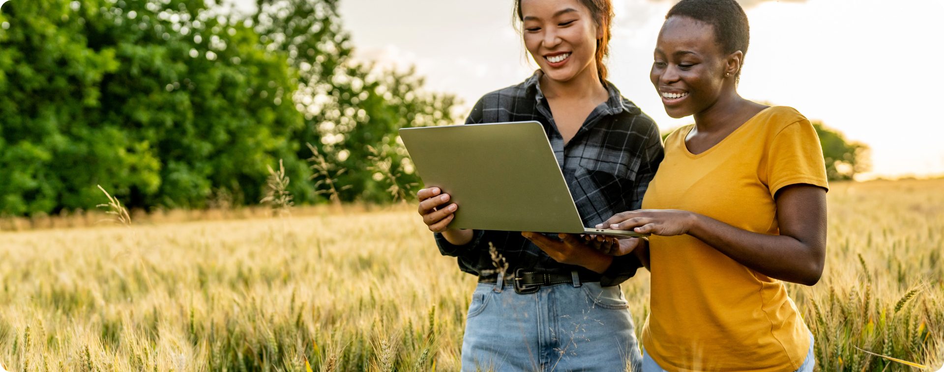 Contabilidade para o agronegócio: particularidades fiscais e operacionais