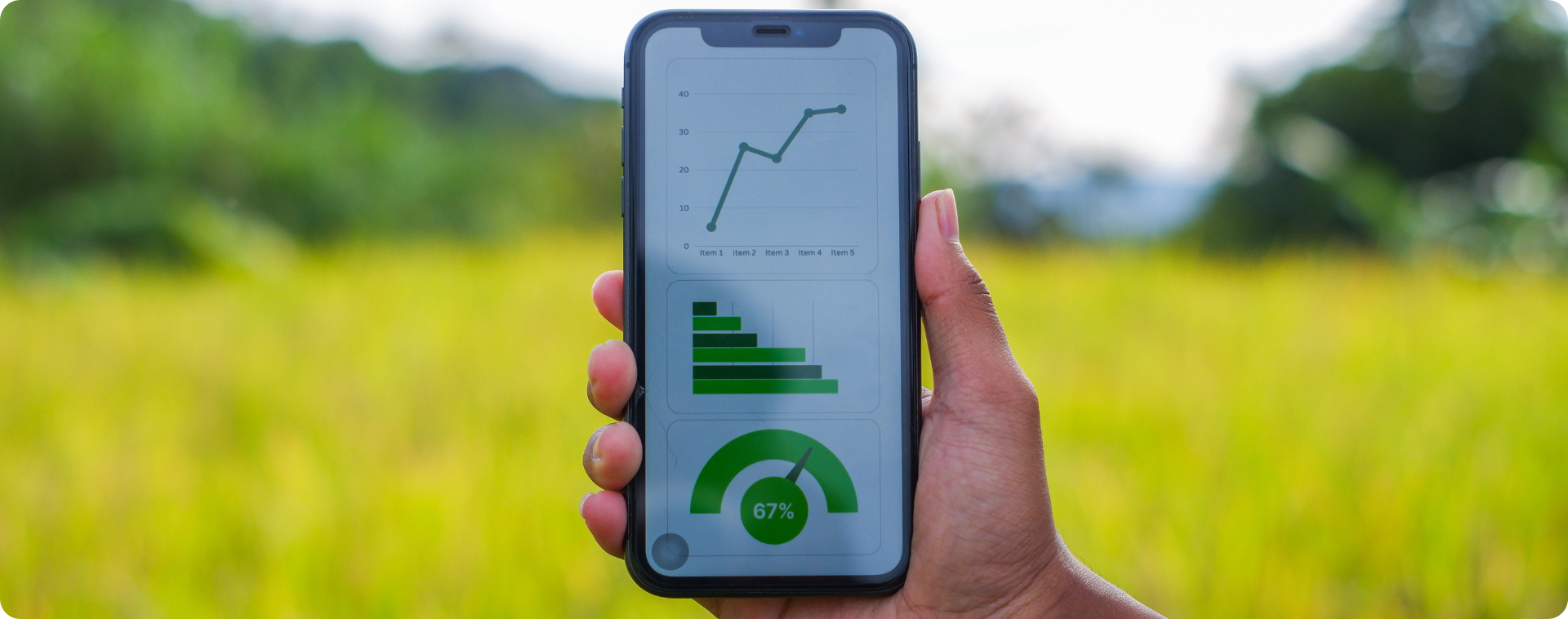 Contabilidade para o agronegócio: particularidades fiscais e operacionais